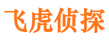 通海外遇调查取证